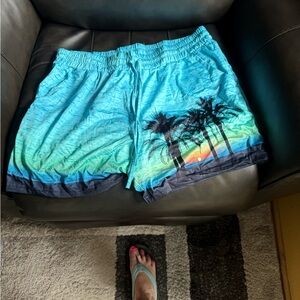 Tropical Sunset Swim Shorts